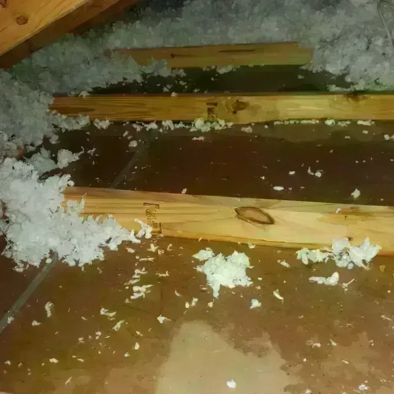 Attic Water Damage in Black Diamond, WA