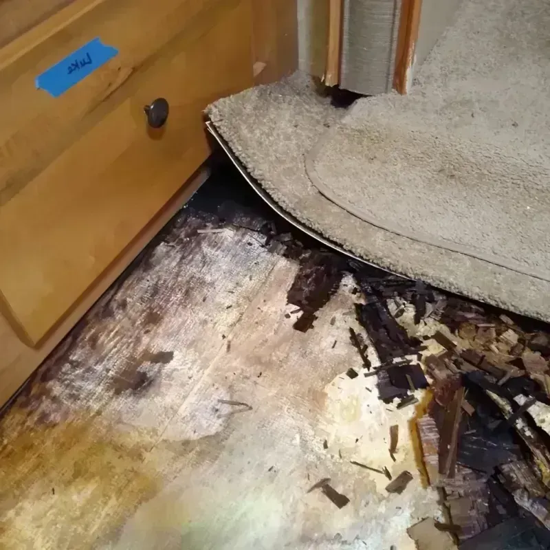 Wood Floor Water Damage in Black Diamond, WA